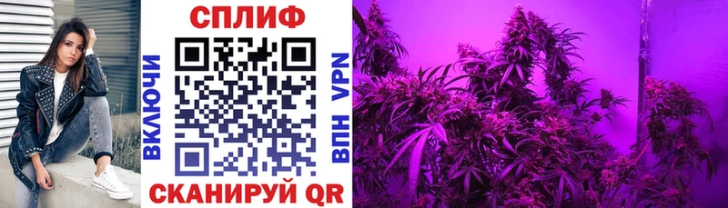 Купить наркотик аптеки Карталы Alpha-PVP  АМФЕТАМИН  Конопля  Меф мяу мяу 