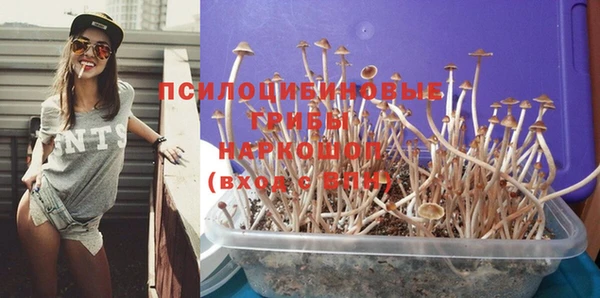 амф Верхний Тагил