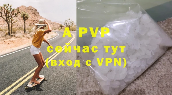амф Верхний Тагил