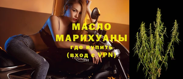 амф Верхний Тагил